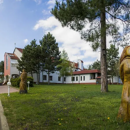Hotel Sirak Most
