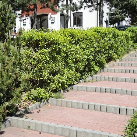 Sirak