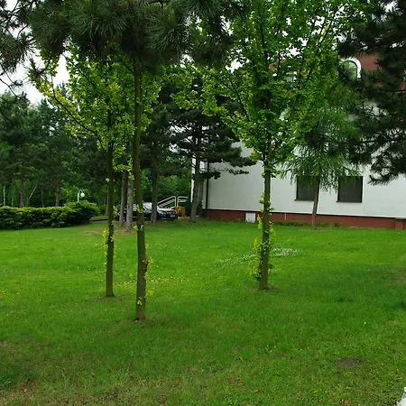 Sirak